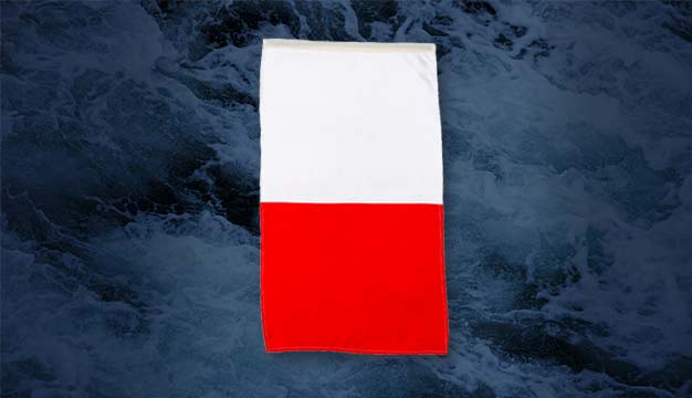 Harbor pilot aboard. Also, helicopter operations.