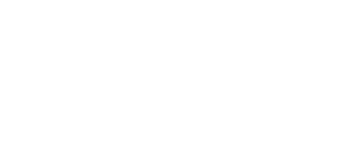 Faces of the Fleet logo