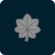 Navy Commander insignia